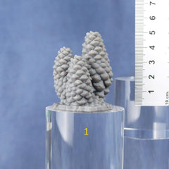 Tabletop Miniatur Figur "Pinecones Aberation" für 28mm Maßstab, im Set oder einzeln erhältlich, unbemalte Bäume für Terrain und Diorama, DnD - Role Playing Miniatures