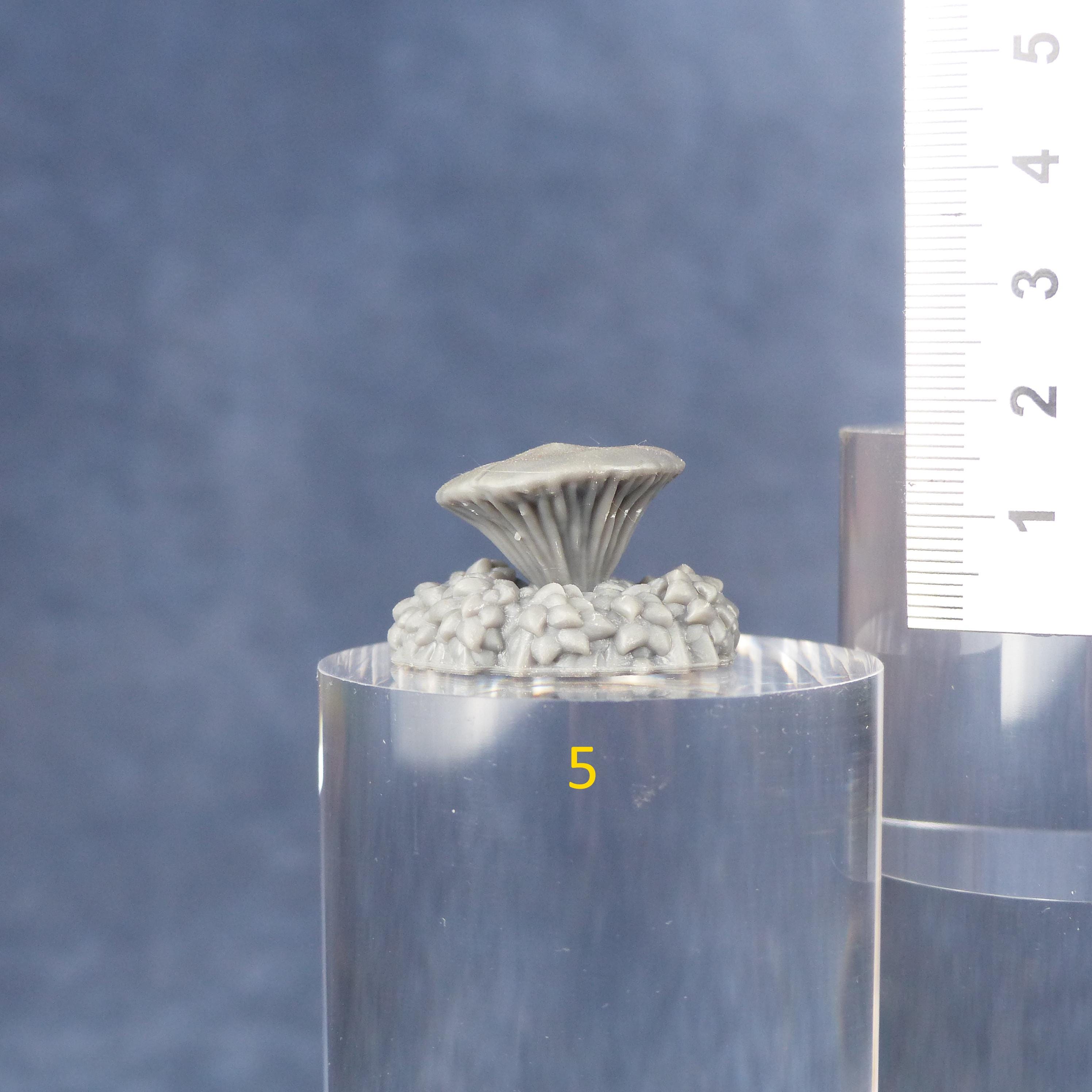 Tabletop Miniatur Figur "Toxic Mushrooms" für 28mm Maßstab, im Set oder einzeln erhältlich, unbemalte Pilze für Terrain, Diorama und DnD - Role Playing Miniatures