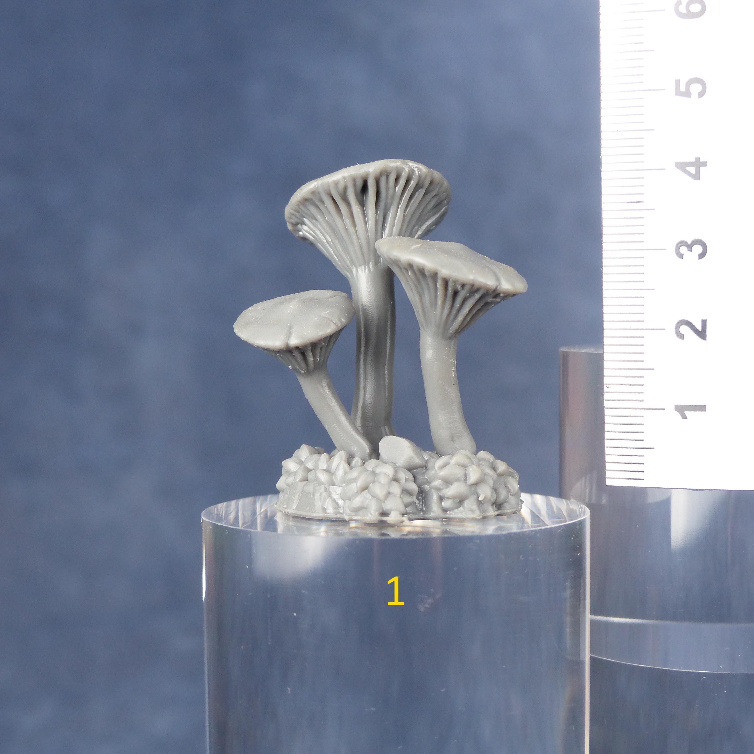 Tabletop Miniatur Figur "Toxic Mushrooms" für 28mm Maßstab, im Set oder einzeln erhältlich, unbemalte Pilze für Terrain, Diorama und DnD - Role Playing Miniatures