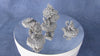 Fairy Sunflowers | 28mm Scale | Teile-Set | unbemalt | Blume | Tabletop | Terrain | Dekoration | Pflanzen | Ornamente | DnD | Terrarium