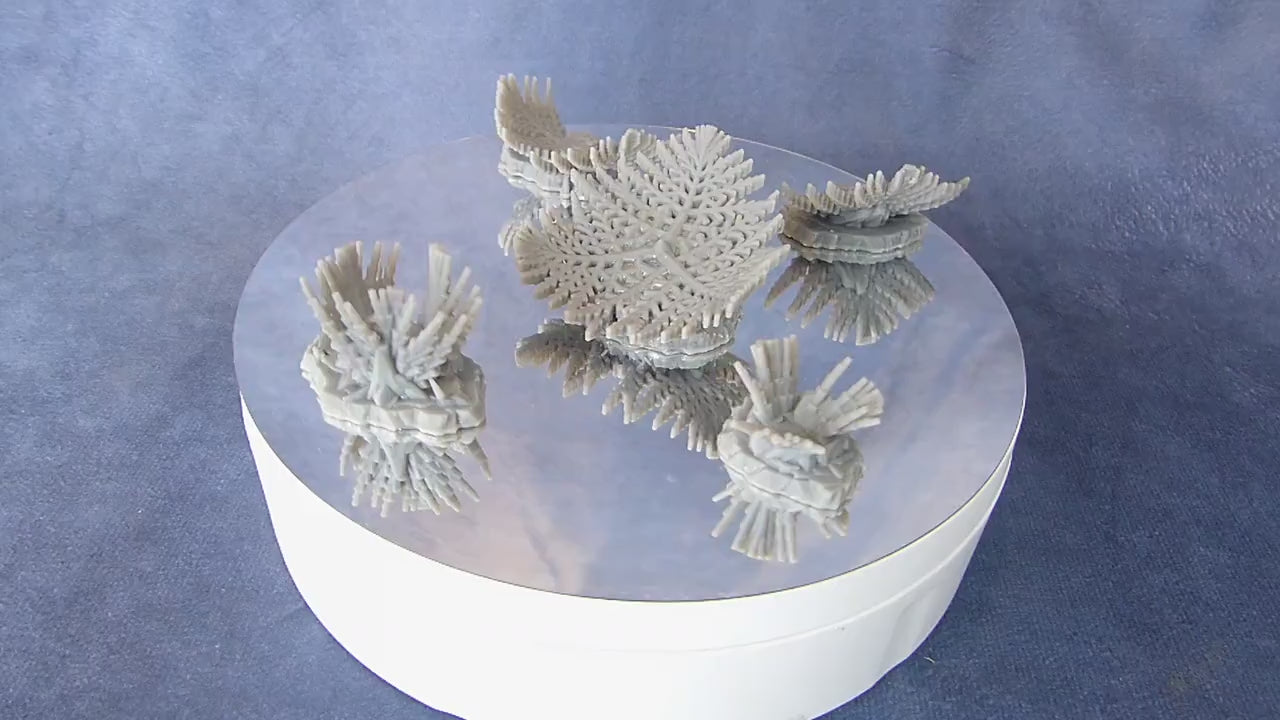 Giant Snowflake Plants | 28mm Scale | Teile-Set | unbemalt | Tabletop | Terrain | Deko | Tropisch | Pflanzen | DnD | Diorama | Winter