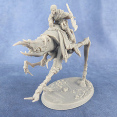 Stenocara Grandis, Stenobeast Rider, Desert Mount | 28mm | Miniatur | Tabletop-WorldOfTabletop